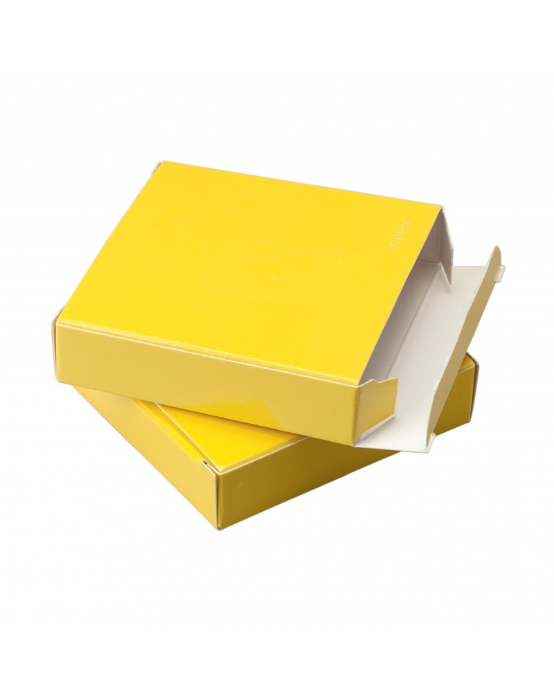 Estuche charol amarillo 7